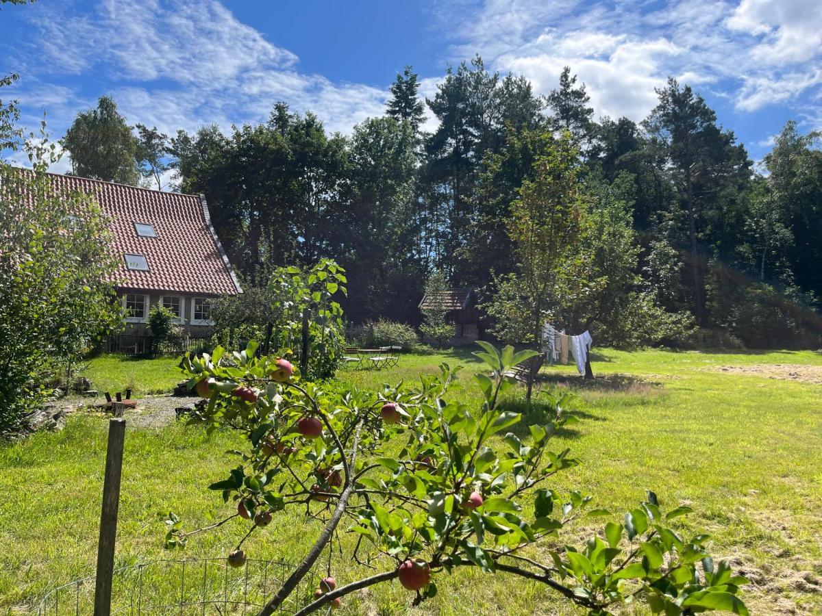 Gruen In Gruen Lejlighed Detmold Eksteriør billede